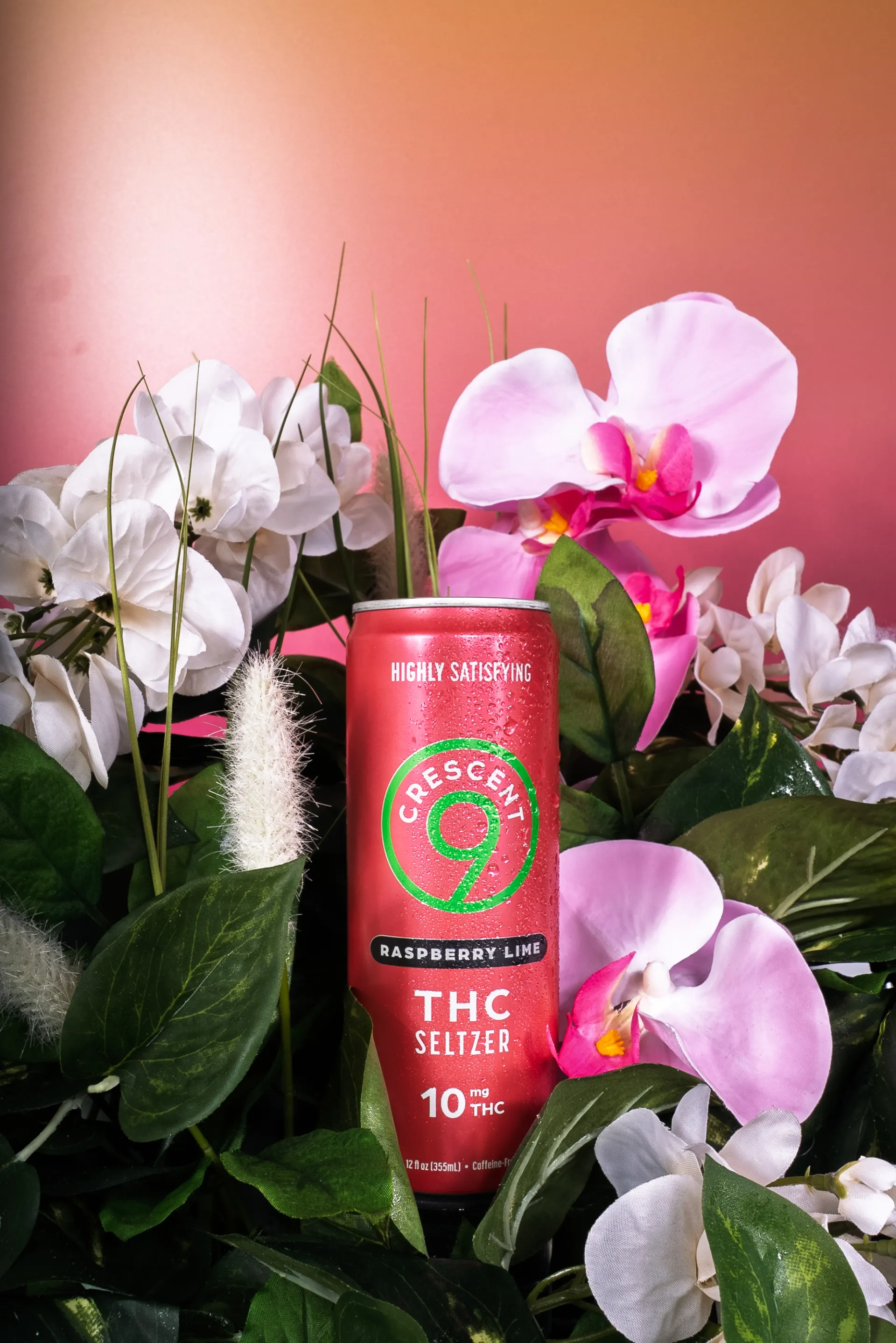 Crescent Canna — 4