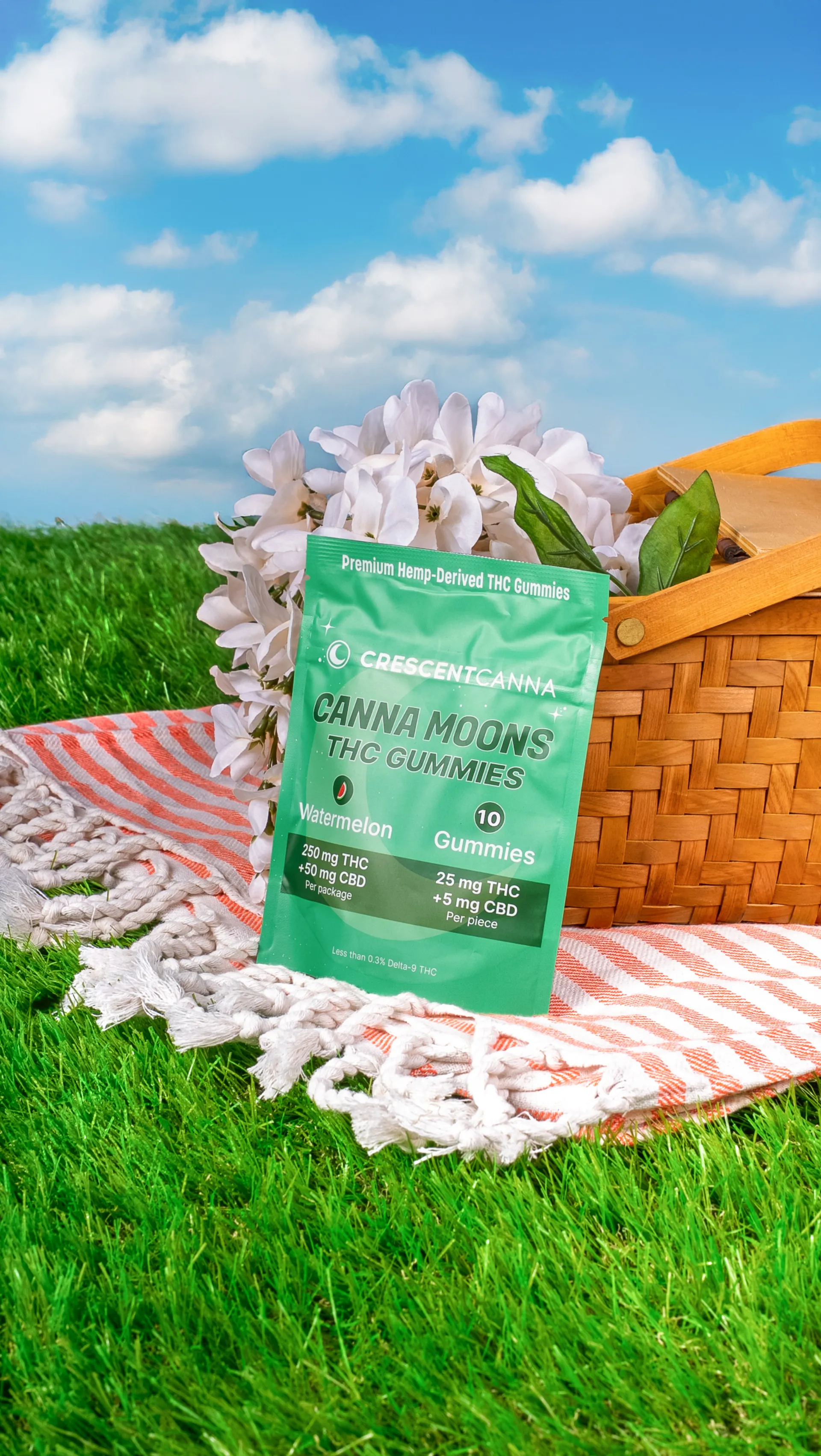 Crescent Canna — 10