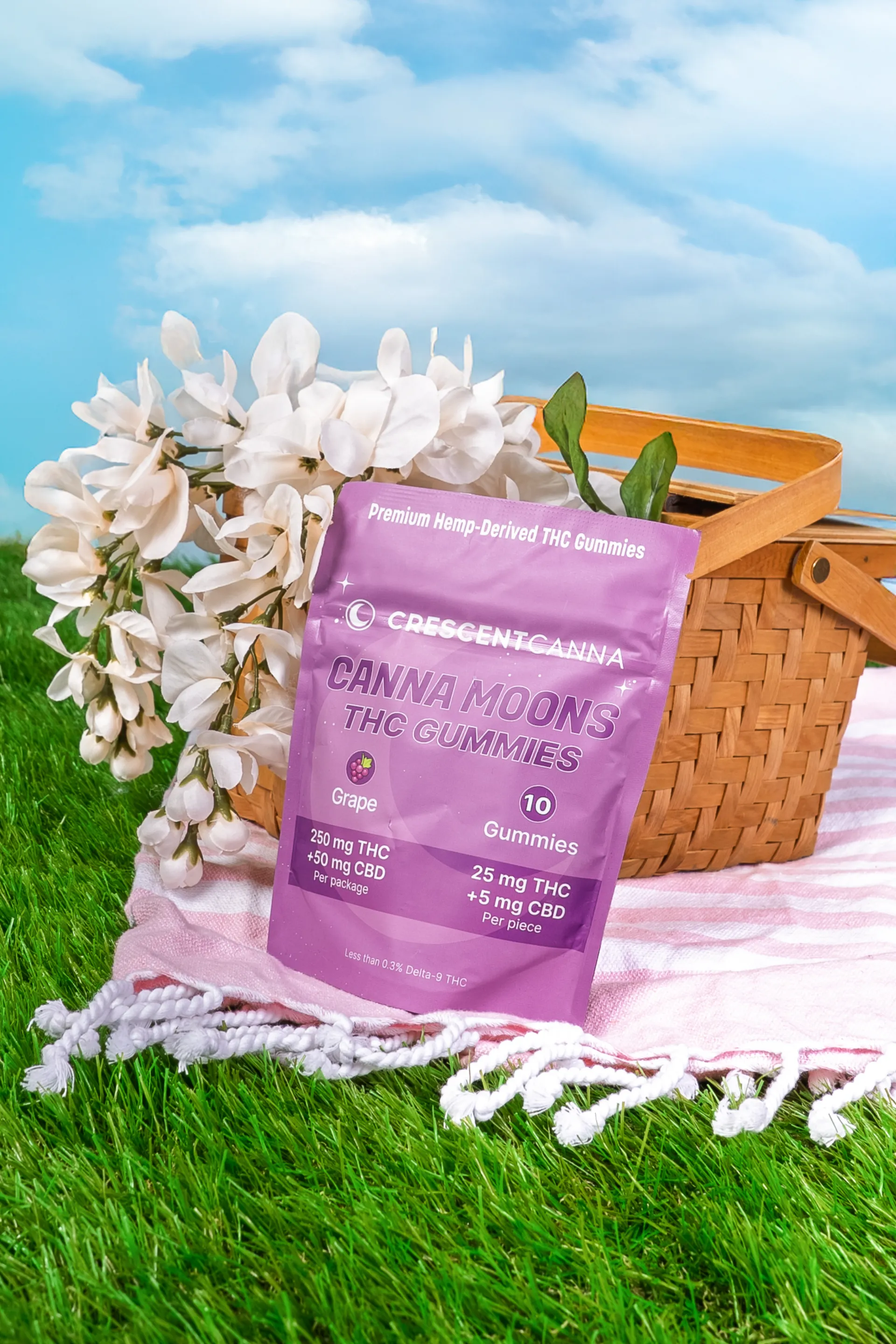 Crescent Canna — 13