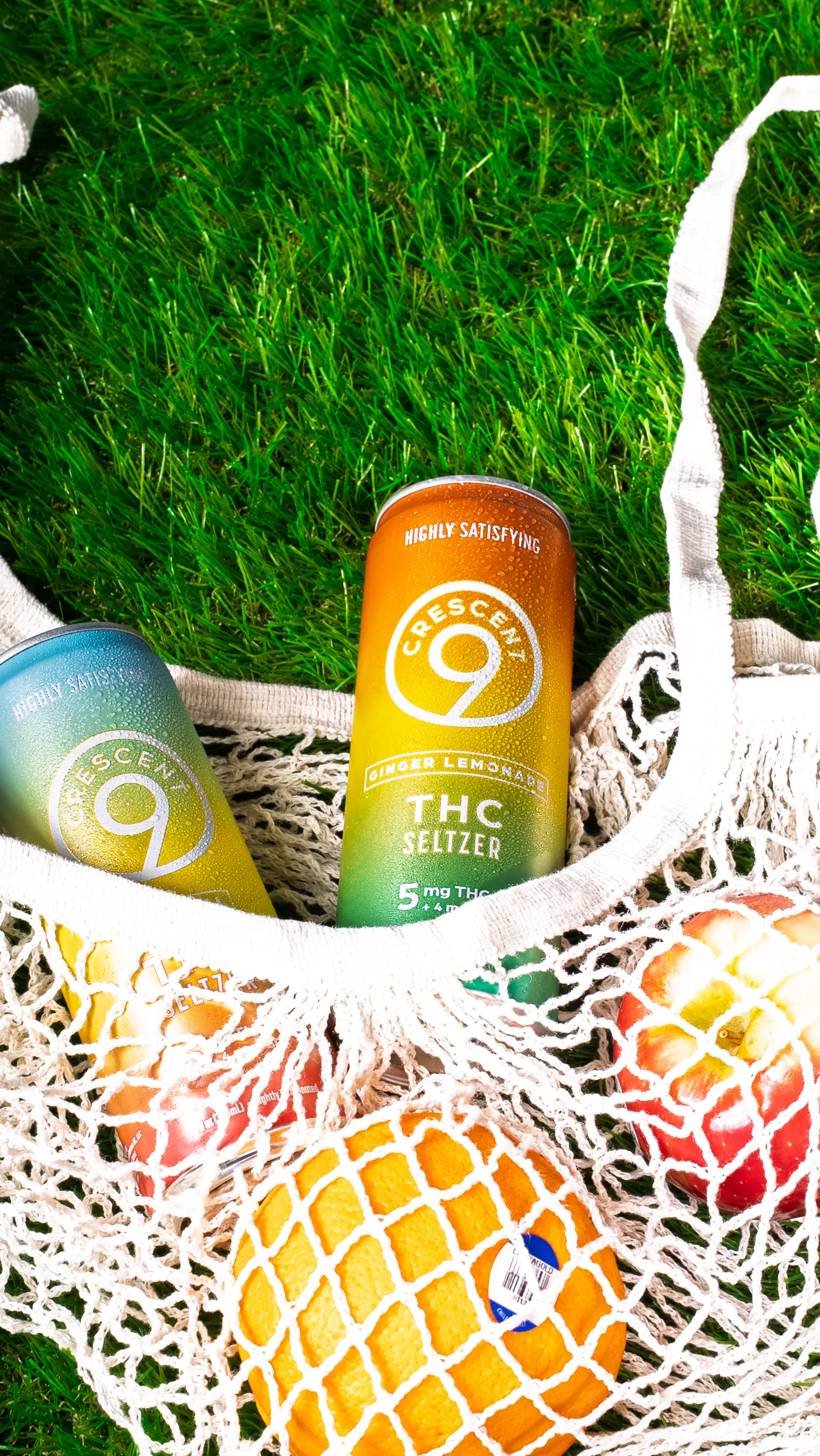 Crescent Canna — 11